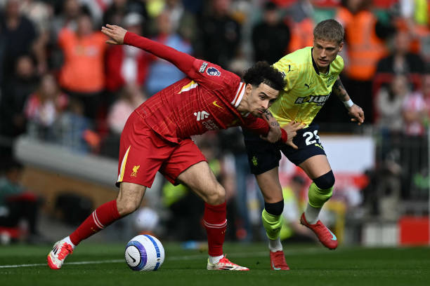 入主李斯特 入主李斯特