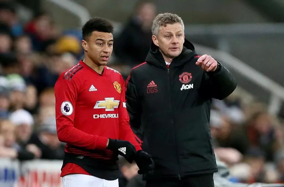 样的设计背 样的设计背